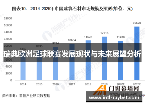 瑞典欧洲足球联赛发展现状与未来展望分析