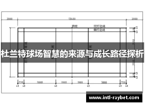 杜兰特球场智慧的来源与成长路径探析