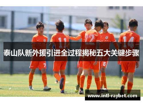 泰山队新外援引进全过程揭秘五大关键步骤