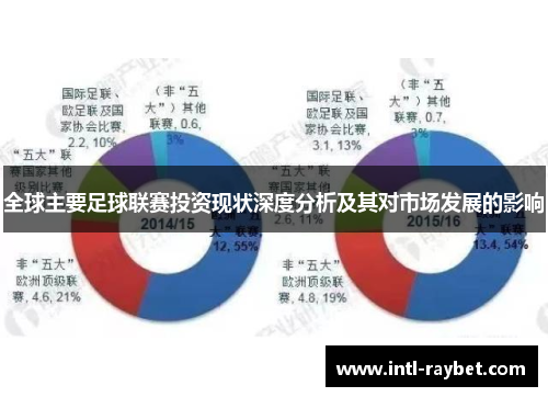 全球主要足球联赛投资现状深度分析及其对市场发展的影响