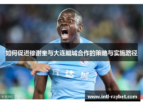 如何促进穆谢奎与大连鲲城合作的策略与实施路径