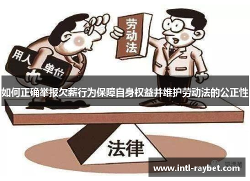 如何正确举报欠薪行为保障自身权益并维护劳动法的公正性