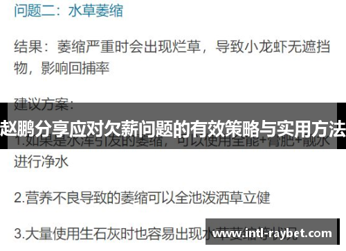 赵鹏分享应对欠薪问题的有效策略与实用方法