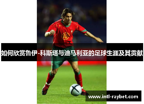 如何欣赏鲁伊-科斯塔与迪马利亚的足球生涯及其贡献