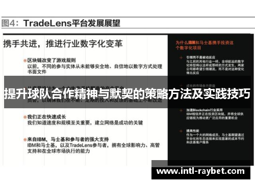 提升球队合作精神与默契的策略方法及实践技巧