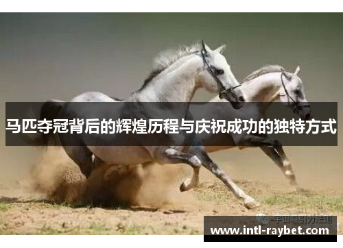 马匹夺冠背后的辉煌历程与庆祝成功的独特方式