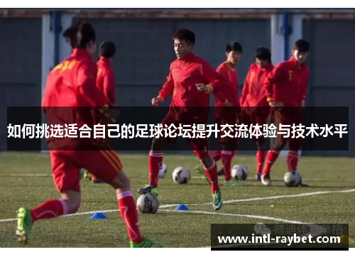 如何挑选适合自己的足球论坛提升交流体验与技术水平