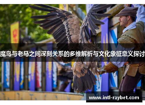 魔鸟与老马之间深刻关系的多维解析与文化象征意义探讨